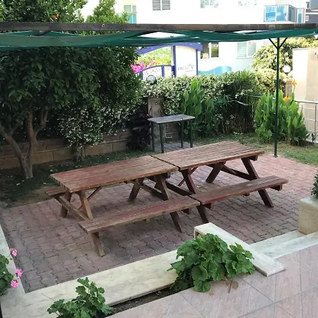Orange City 1 אלאניה